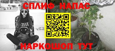 гашик Нягань