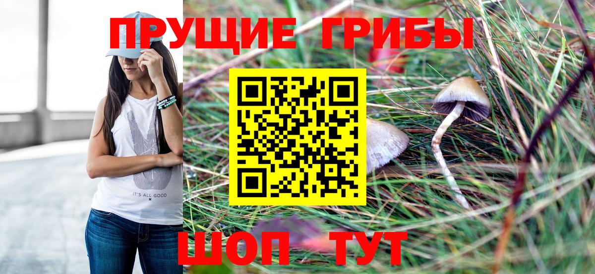 Тамбов  Псилоцибиновые грибы Magic Shrooms  Вход с VPN 